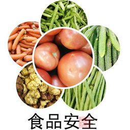 食品无中文标识 销售它是否违法